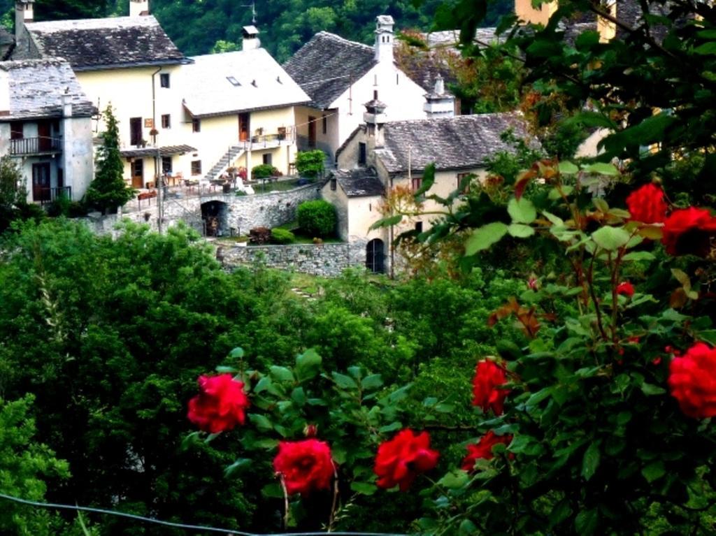 B&B Alpe Veglia วาร์โซ ภายนอก รูปภาพ