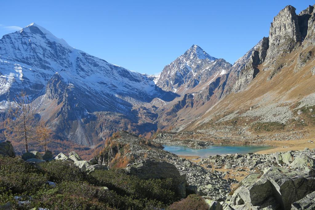 B&B Alpe Veglia วาร์โซ ภายนอก รูปภาพ