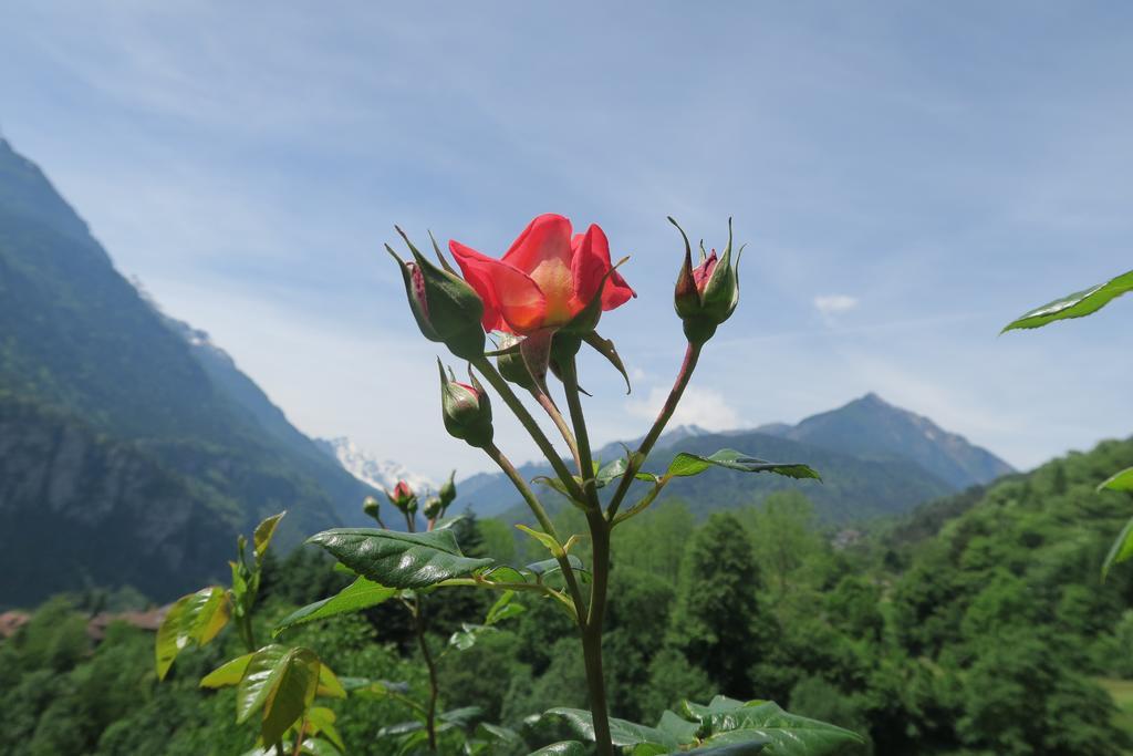 B&B Alpe Veglia วาร์โซ ภายนอก รูปภาพ