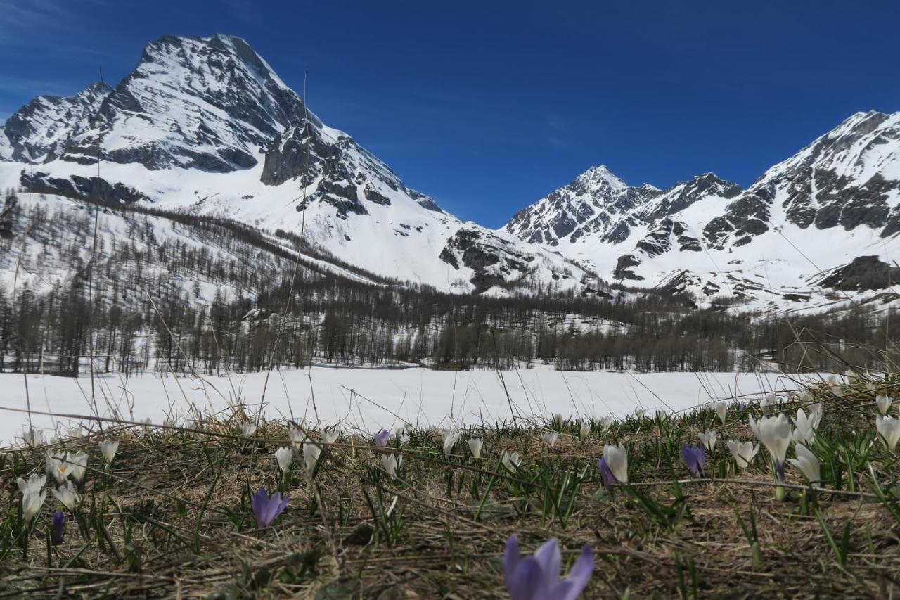 B&B Alpe Veglia วาร์โซ ภายนอก รูปภาพ